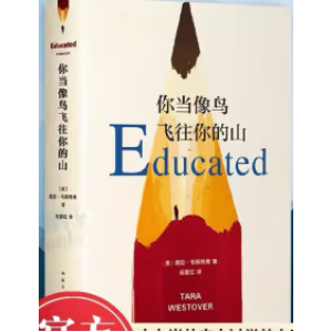 你当像鸟飞往你的山