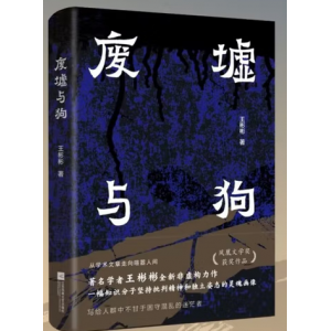 废墟与狗